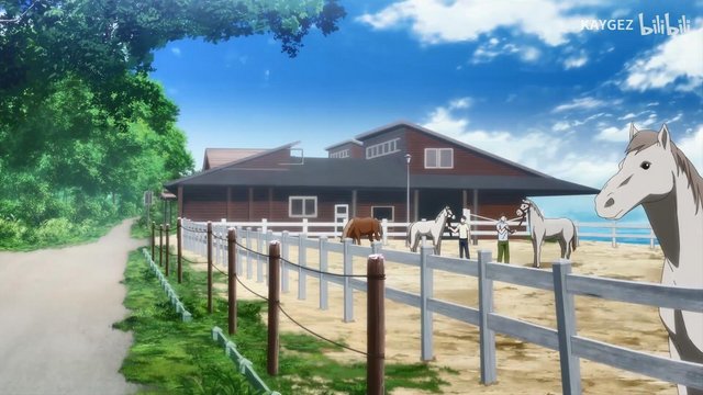 Pasture and Cow Milking Experience